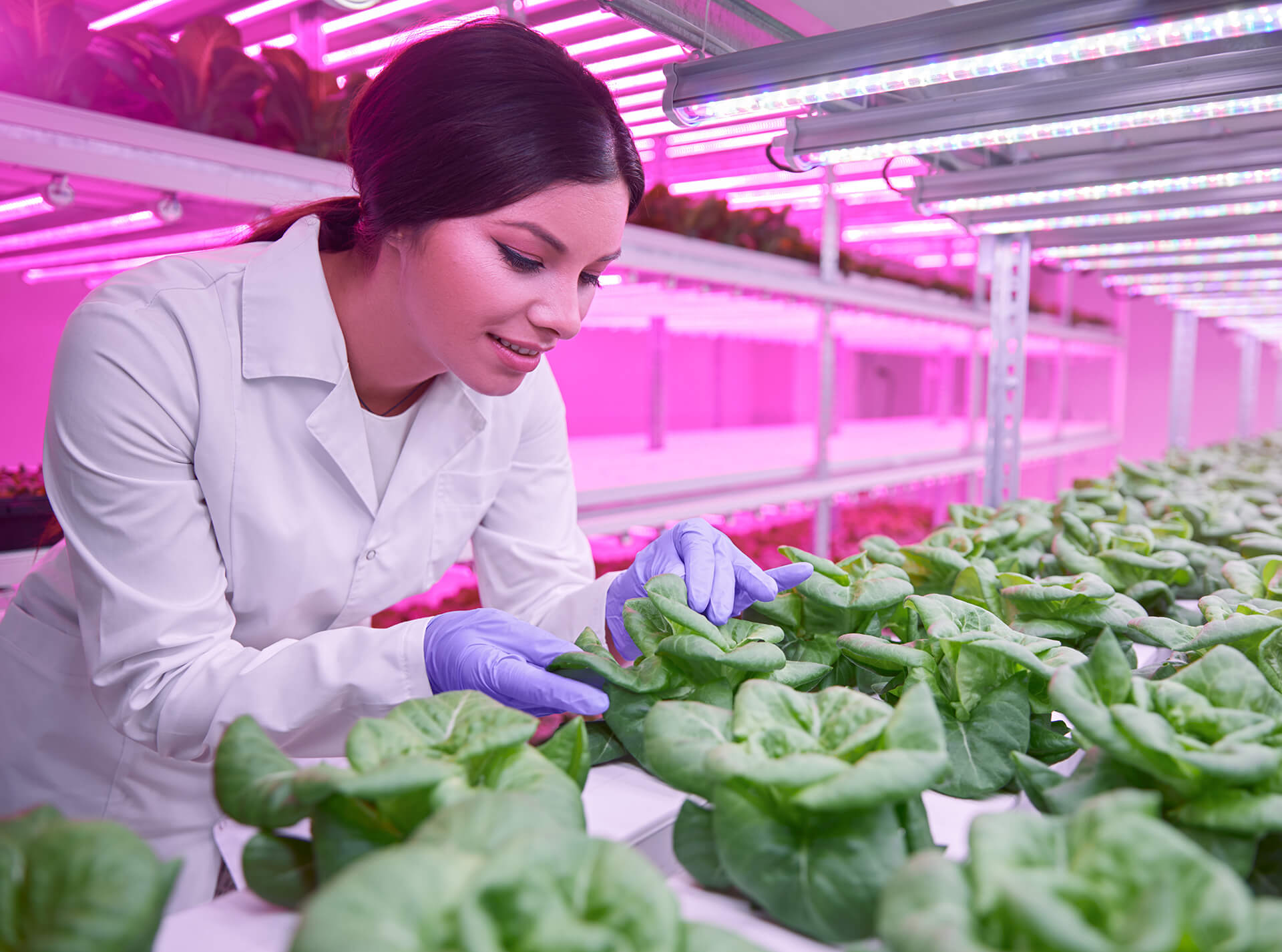 More Production with Fewer Resources with Vertical Farming